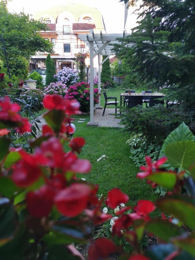 Vukajlo Belgrad